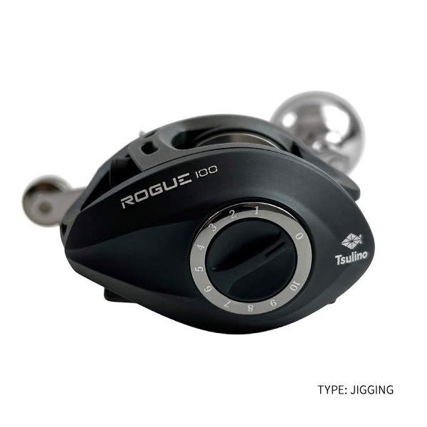 ROGUE【マグネットブレーキ搭載/船釣り/ジギング用ベイトリール】